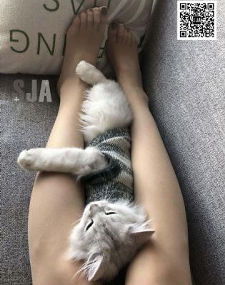 欧美空海派专线_4K在线观看